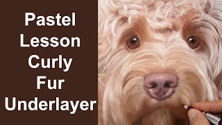 Pastel Dog Lesson - How to Draw Curly Fur -  Jason Morgan wildlife art / pet portraits