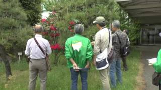 人権の森「全生園の四季」観賞会ー５月　（ＮＰＯ東村山活き生きまちづくり）