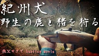 [Hunting] Hunt wild deer with one Japanese dog! horizontal double gun