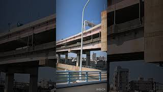 Walking in downtown Tokyo（Ayase River）東京下町散歩（綾瀬川） #travel #bluesky #japan #summer #vlog #wind