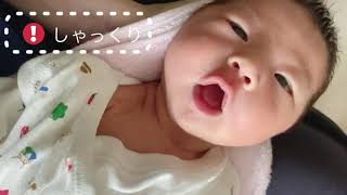 【しゃっくりがとまらない赤ちゃん Baby Can’t Stop Hiccuping! 】生後２週間 TWO WEEKS OLD BABY