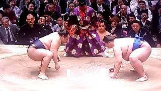 【万全の相撲】鶴竜 vs 逸ノ城 2018年大相撲春場所11日目 20180321