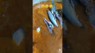 #Meen🐬😋 kulamdu மீன் குழம்பு #shorts