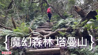 塔曼山｜新北第一高峰［樂活玩童NO.71]2022/08/22