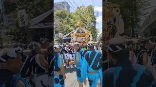 #8月6日 #住吉神社 #東京 #佃 #月島 #住吉神社大祭 #祭 #神輿 #祭ばやし #住吉神社例祭