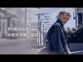 無藥可救｜P!NK-Lost Cause中英文字幕｜歌詞