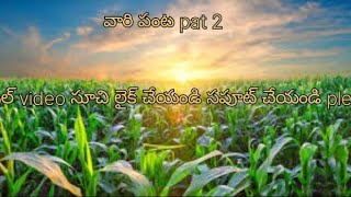 వారి పంట పాట్ 2