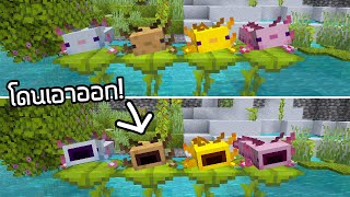 Axolotl อ้าปากโดนลบออก! และปรับสมดุลแร่ใหม่! - Minecraft Update 1.17 [Snapshot 21w18a]