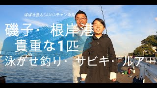 【磯子・根岸湾】2020年12月下旬　奇跡の1匹を泳がせ釣り。サビキ、ルアーでシーバス狙い。