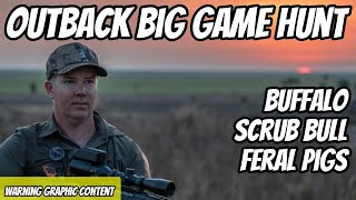 Hunting Buffalo Scrub Bull and Feral Pigs in the Outback | Dangerous Game | Territory Lodge Safaris