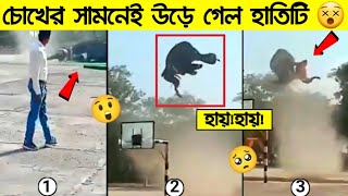 চোখের সামনে এমন ভয়ংকর জিনিস দেখতে হবে কল্পনাও করিনি।😢😰প্রাকৃতির এমন রূপ কেউ যেন না দেখে