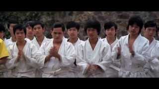 Bruce Lee Kung Fu Fighting Tribute
