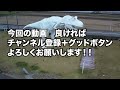 【福井県あわら市ランチ】昭和レトロ　手打ちそばおおまきや【方言：ハイブリッド福井弁】