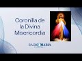 Coronilla de la Divina Misericordia - 12/11/2024