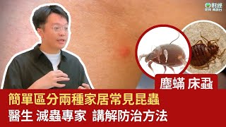 TVB | 傳媒訪談 | 如何區分床蝨塵蟎 以及 防治方法