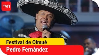 Pedro Fernández encantó a todo El Patagual | Festival del Huaso de Olmué