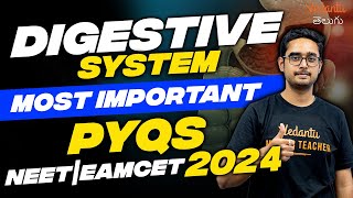 Digestive System Most Important PYQ | Ajay Kumar Sir | Vedantu Telugu | NEET 2024 | EAMCET 2024