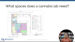 Cannabis Laboratory Design and Construction