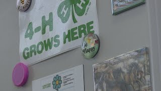 MSU aims to reach more potential students through 4-H
