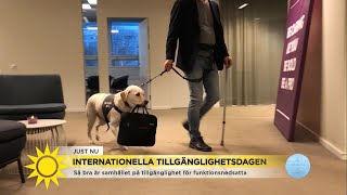 Så viktig är servicehunden för Magnus: ”Dixi ger mig mina kläder”  - Nyhetsmorgon (TV4)