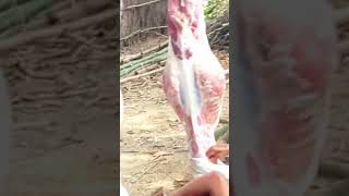 ঈদের দিনে কোরবানি #Islamic short video #Qurbani #viral Qurbani #🤲🤲🤲