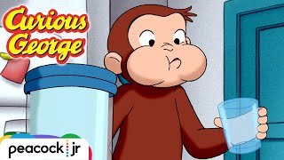 🍓 George's Juicy Experiment | CURIOUS GEORGE