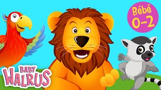 Apprendre tôt en s'amusant #3 | Les Animaux de la jungle 🐯 Comptage \u0026 couleurs | Educatif