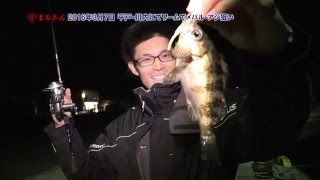 メバル釣り【ワーム釣り入門】釣り方のコツ