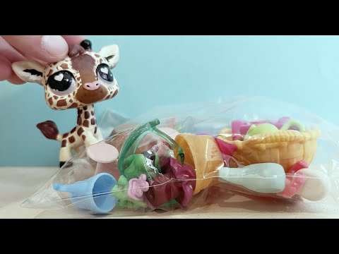Lps Accessories Package Opening Youtube