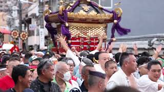 8K/30p 2023/08/27 令和5年度 日暮里諏方神社例大祭 本社神輿渡御(谷中地区)(Nippori Suwa-jinja Reitaisai Festival)