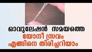 ഓവുലേഷന്‍ സ്രവം എങ്ങിനെ തിരിച്ചറിയാം | സെര്‍വിക്കല്‍ മ്യൂകസ് ആരോഗ്യവും ഗര്‍ഭ ധാരണവും