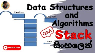 Stacks Using Java in Sinhala | Data Structures and Algorithms Part 01 ( DSA Tutorial)