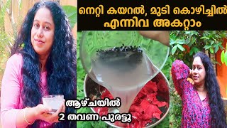 2 തവണ ഈ Hair Pack പുരട്ടൂ നെറ്റി കയറൽ, കഷണ്ടി, മുടി കൊഴിച്ചിൽ എന്നിവ അകറ്റാം Hair Pack For Hair Fall