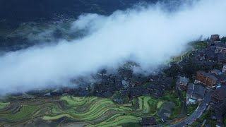 贵州从江加榜云海梯田 Jiabang Terraces and sea of clouds, Congjiang, Guizhou - 4K