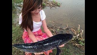 Primitive Technology - How to catch fish and grilled fish delicious part 1