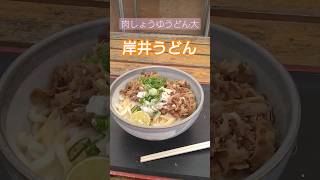 岸井うどん天空のブルートレイン店　#さぬきうどん