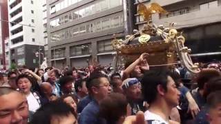 平成28年 鳥越神社   例大祭   本社千貫神輿  永住町會伝説の神輿渡御。