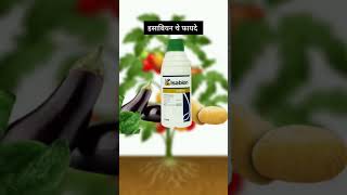 Isabion syngenta in marathi इसाबीयन सिंजेंटा उपयोग #shetkari @digital_yuva_shetkari