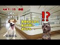 病院で勤務する新卒看護師の日常その２【猫ミーム】【猫マニ】