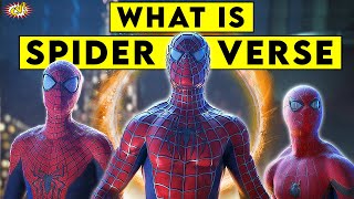 What is Spider-Verse Explained || ComicVerse