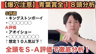 【2021青葉賞全頭分析】藤沢和厩舎最後のダービーへ・・・キングストンボーイにＳ評価！