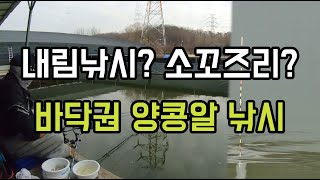 재미있는 내림소꼬 낚시~