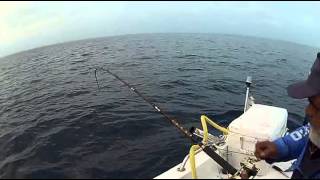 Tuna fishing with the sweet antares 20-30