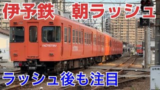 【マッタリなラッシュ】松山市の中心を目指す朝ラッシュ輸送と車庫隣接駅で行われる切り離し運用を見ていく！