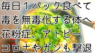 【無毒化】花粉症、アトピーは治して、ウイルス、ガンは体の中へ侵入させないようにする食べ物。