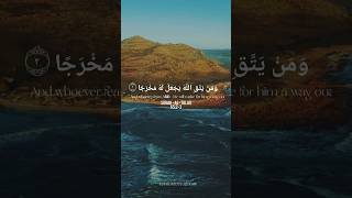 Surah At- Talaq Melodious Quran Recitations by Omar Hisham Al Arabi| #quranrecitation #beheavenquran