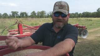 Fall Food Plots - What to Plant in North East Texas