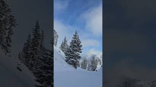 Alta Ski Area – Sugarloaf Lift 20250113 111623