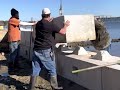 seawall with concrete blocks