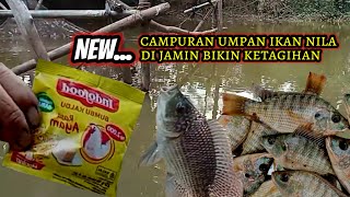 Campuran Umpan Ikan Nila Terbaru bikin Kumbul Ngetrik Terus